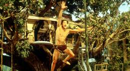 Кадр из фильма "Джордж из джунглей" - 2