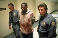 Кадр Высшее образование