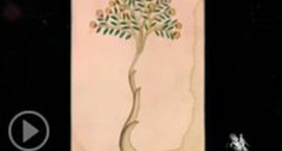 Мультфильм