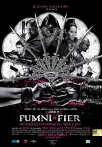 Постер Железный кулак