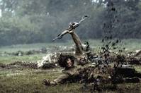 Кадр Братья по оружию (мини-сериал)