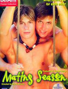 Сезон спариваний (видео)