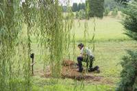 Кадр Ходячие мертвецы