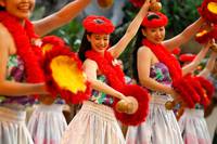 Кадр Девушки, танцующие хулу