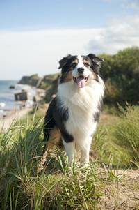 Кадр Пятеро друзей