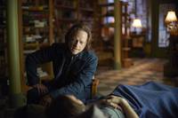 Кадр 12 обезьян