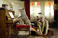 Кадр Мистер Гафф