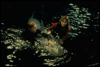 Кадр Челюсти 3