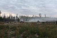 Кадр Белый тигр