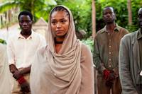 Кадр Пальмы в снегу