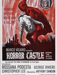 Нюрнбергская дева