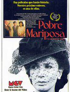 Несчастная бабочка