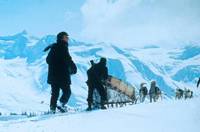 Кадр Белый клык