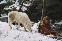 Кадр Выживая с волками