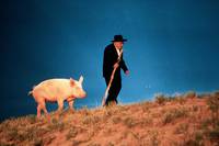 Кадр Война на бобовом поле Милагро