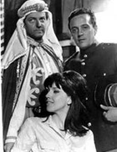 Шейх Агадир