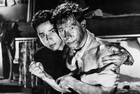 Кадр Акулы и мелкие рыбешки