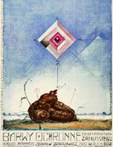 Защитные цвета