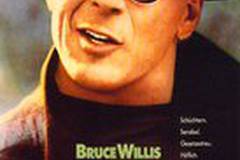 Гудзонский ястреб