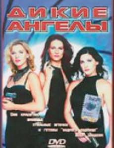Дикие ангелы