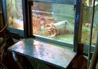 Кадр Презерватив-убийца