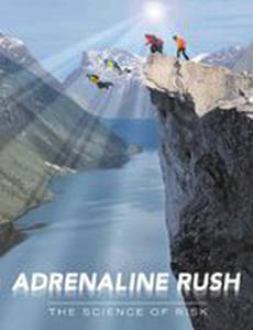 Adrenaline Rush: The Science of Risk