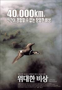 Постер Птицы