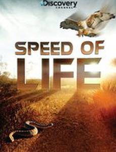 Discovery: Скорость жизни (мини-сериал)