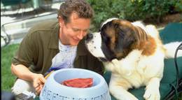 Кадр из фильма "Бетховен 4 (видео)" - 2