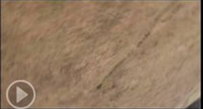 Промо-ролик №3