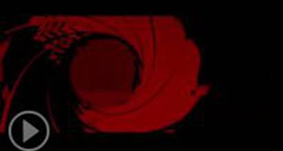 Вступительные титры