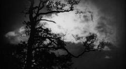 Кадр из фильма "Пиковая дама" - 1