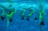 Кадр Водяные лилии