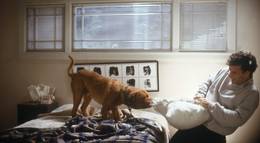 Кадр из фильма "Тёрнер и Хуч" - 1