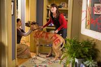 Кадр Школа негодяев