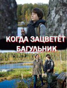 Когда зацветёт багульник