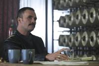 Кадр Багровая мята