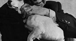 Кадр из фильма "Умберто Д." - 1