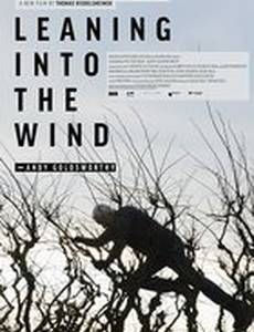 Leaning Into the Wind: Andy Goldsworthy