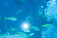 Кадр Добро пожаловать в рай!