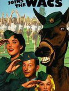 Francis Joins the WACS