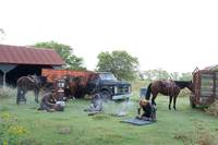 Кадр Революция