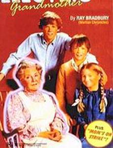 Электрическая бабушка