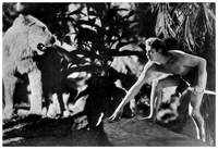 Кадр Приключения Тарзана в Нью-Йорке