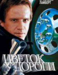 Цветок у дороги