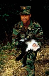 Кадр Эпидемия