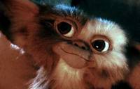 Кадр Гремлины