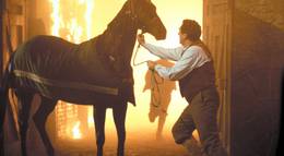 Кадр из фильма "Черный красавец" - 1