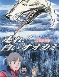 Беги, Белый Волк!