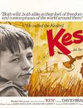 Постер из фильма "Кес" - 1